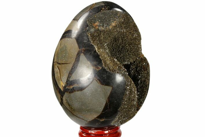 Septarian Dragon Egg Geode - Black Crystals #118707